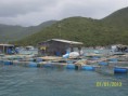 /album/nha-trang/a103-0994-jpg/